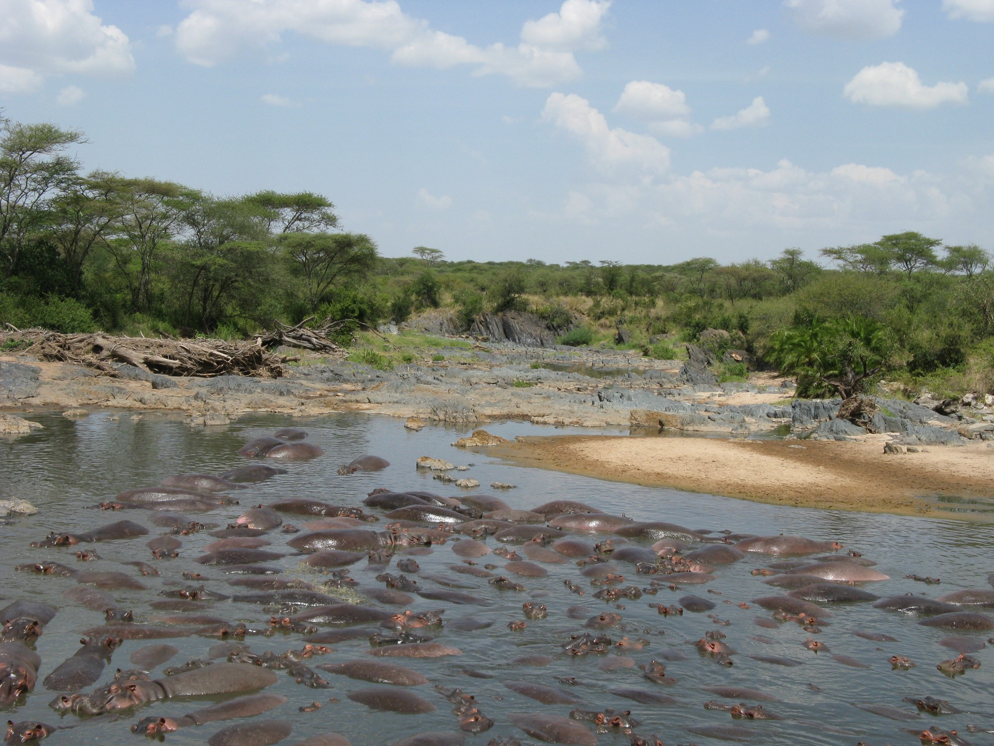 Tanzania