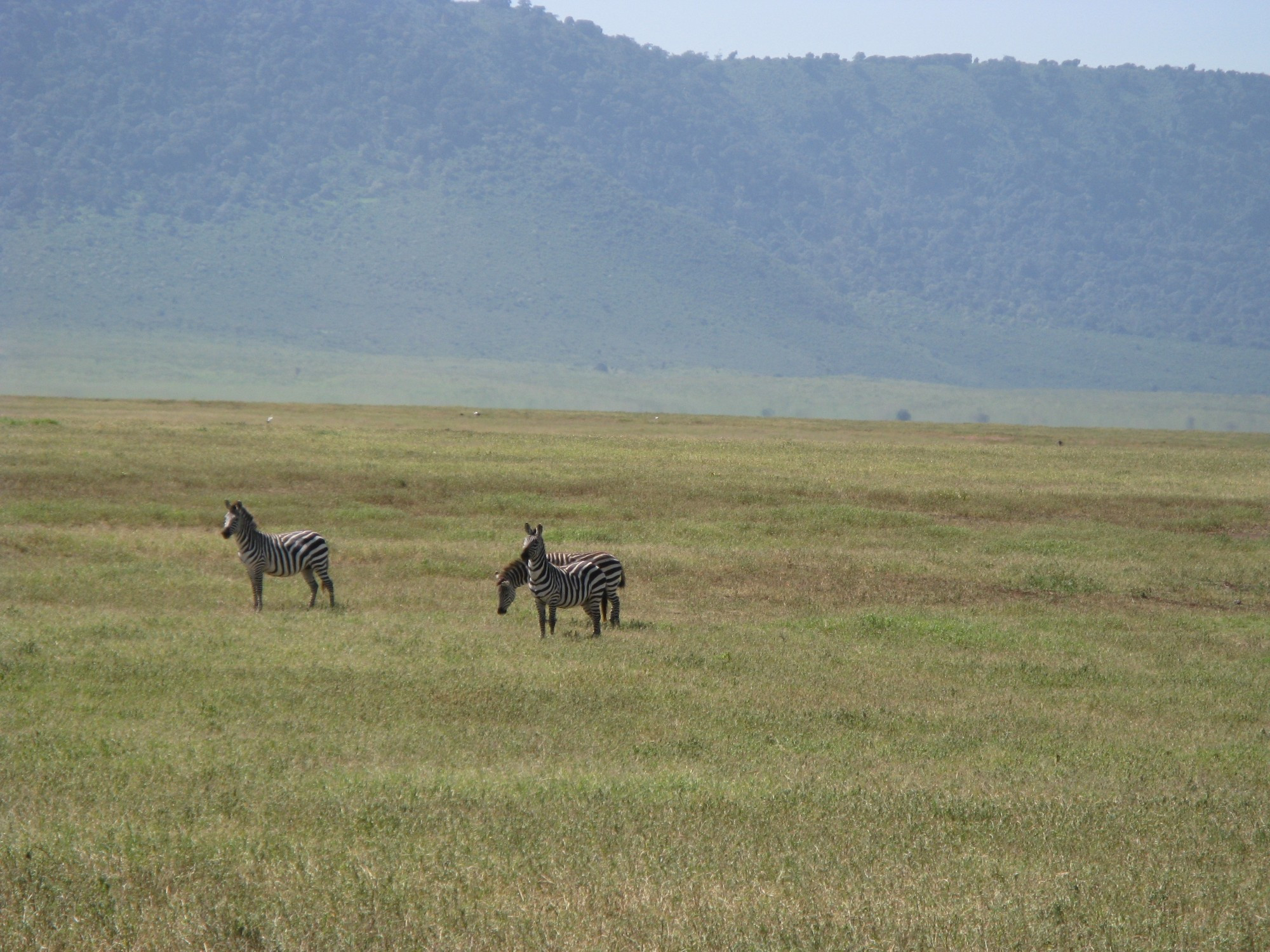 Tanzania