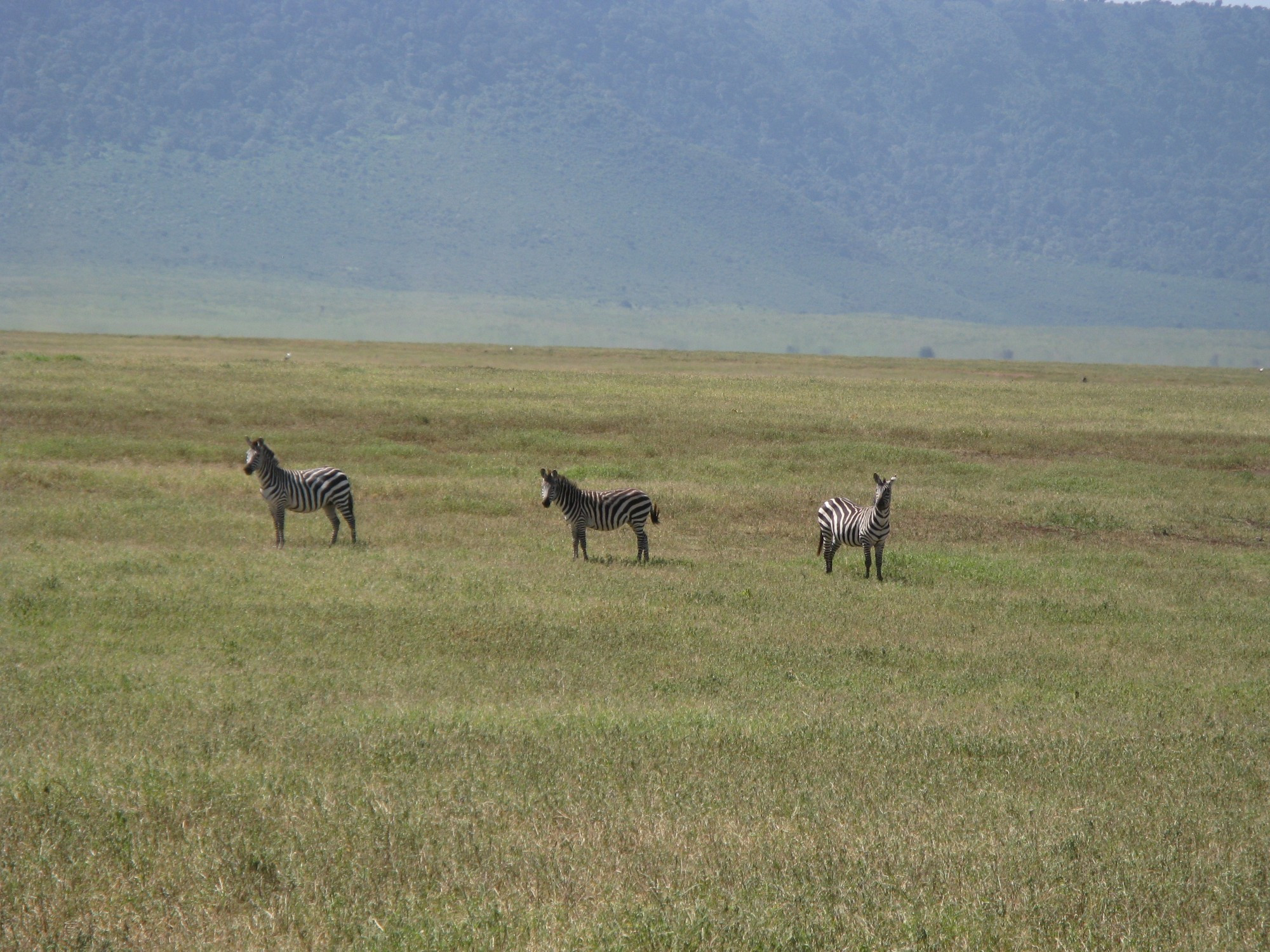 Tanzania