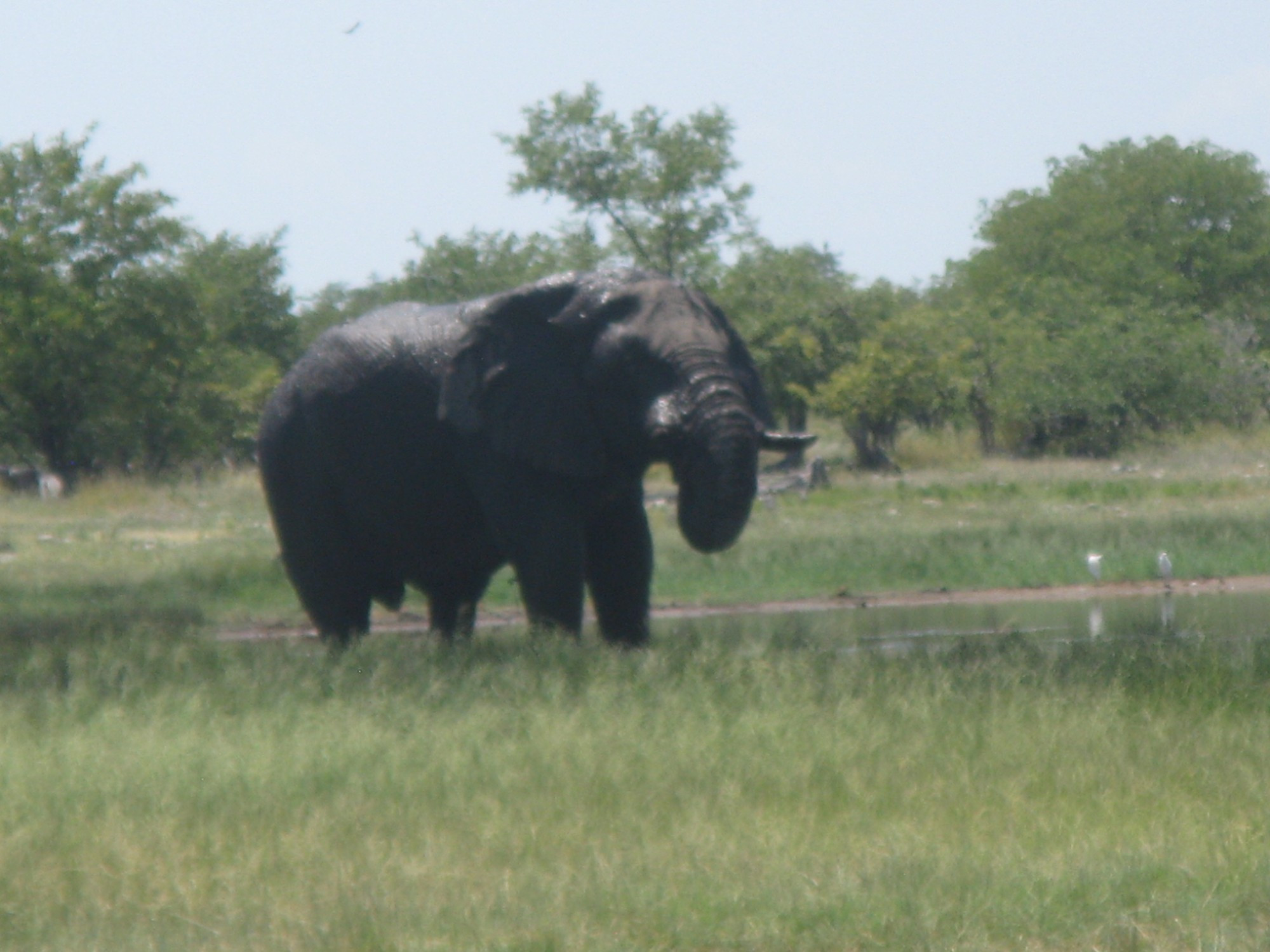 Namibia