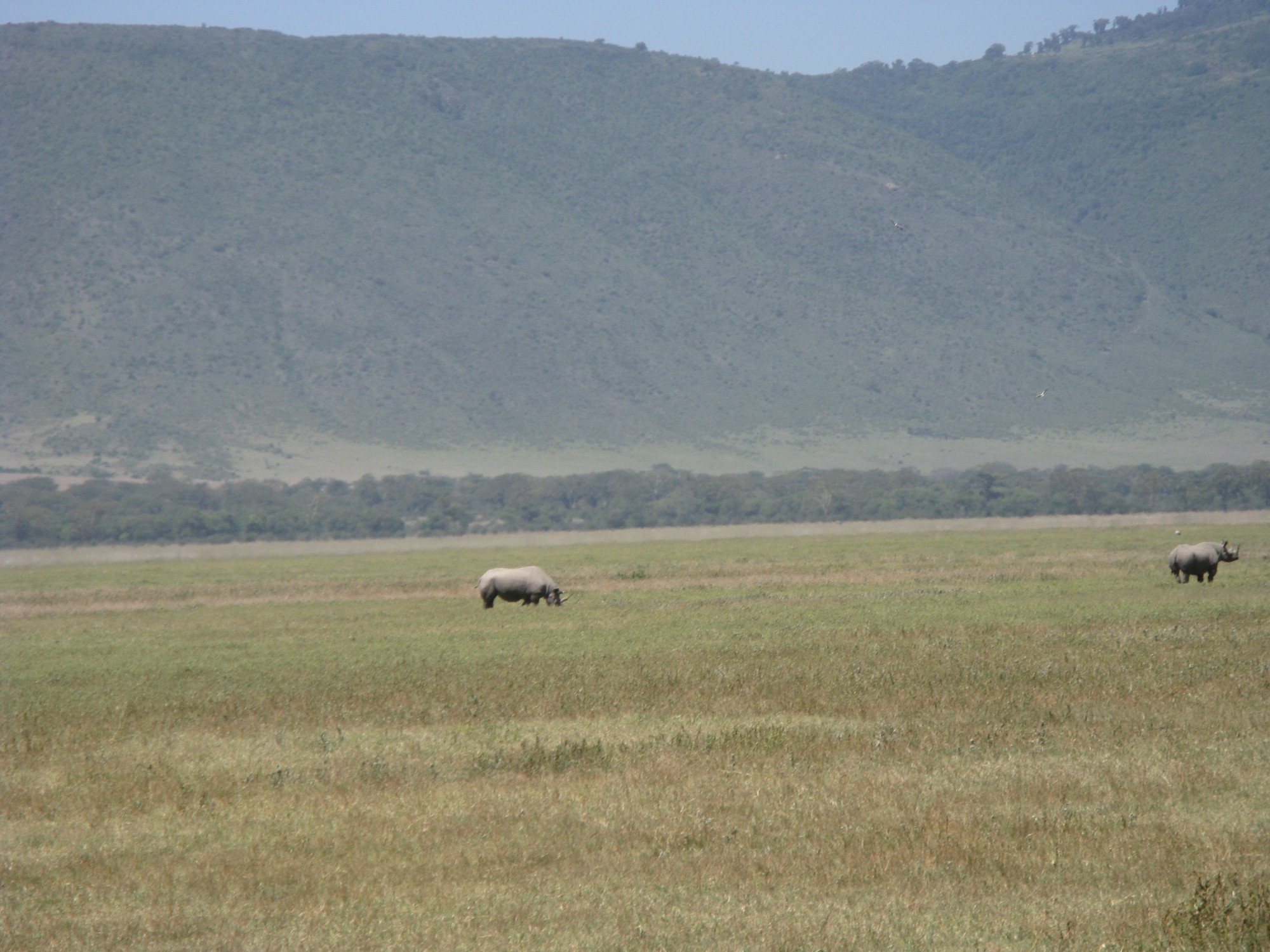 Tanzania