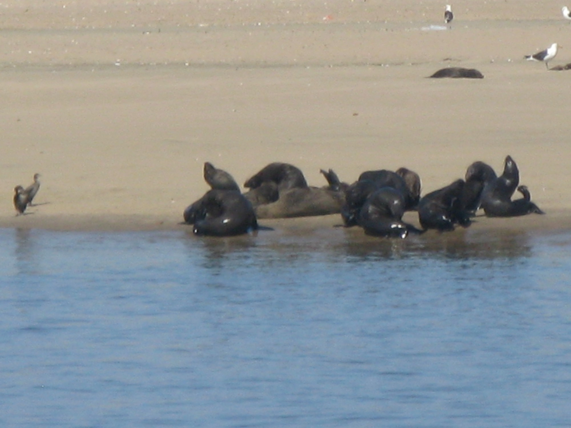 Namibia