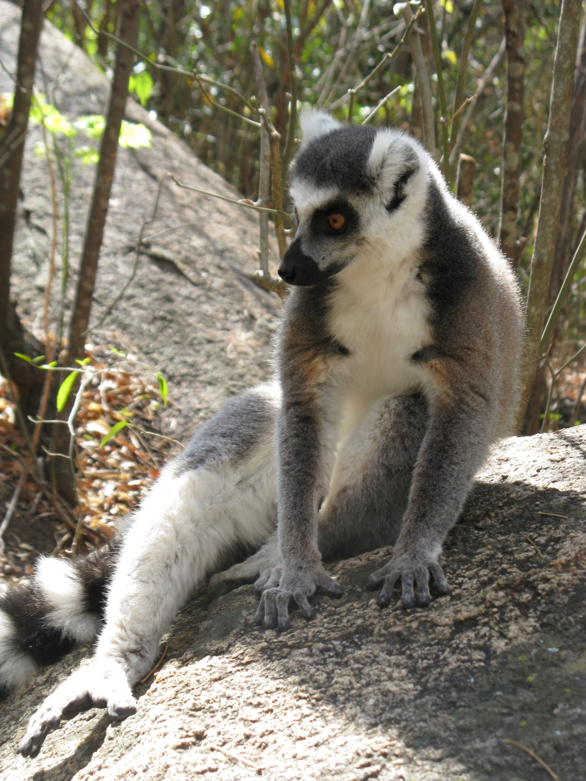 Madagascar