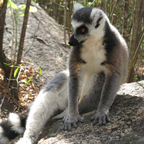 Madagascar