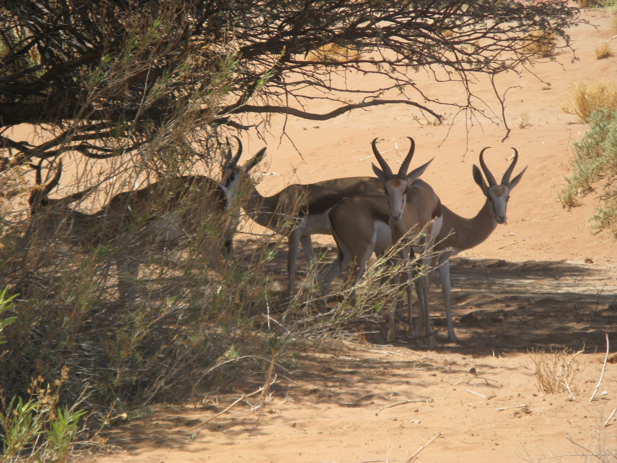 Namibia