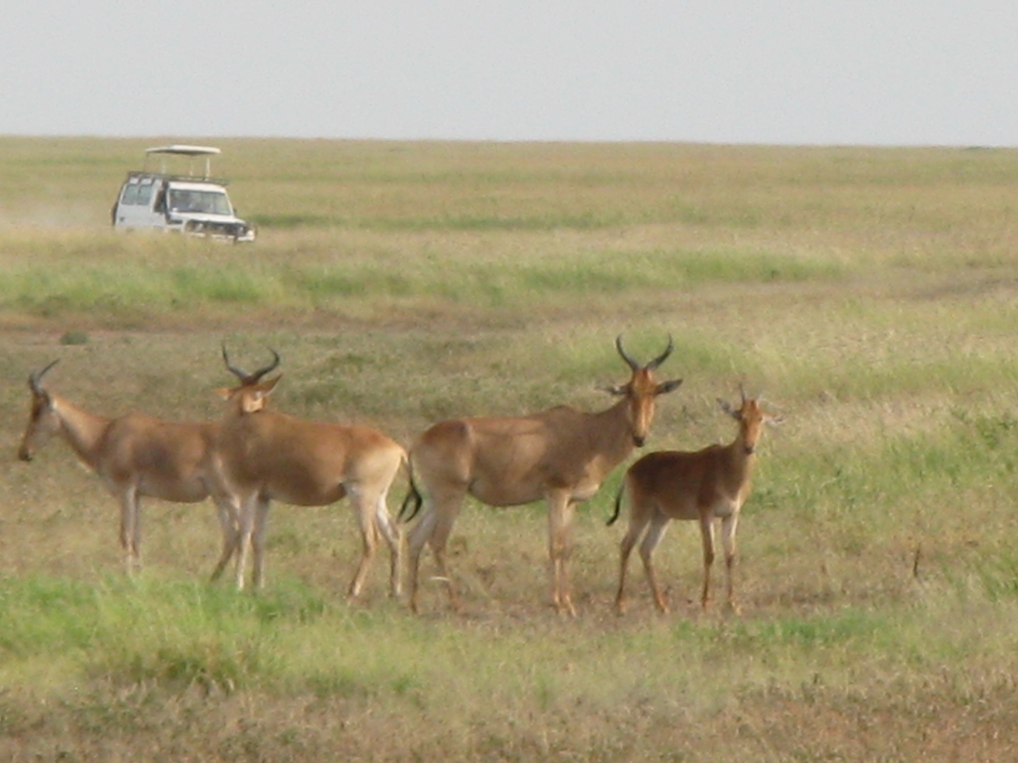 Tanzania