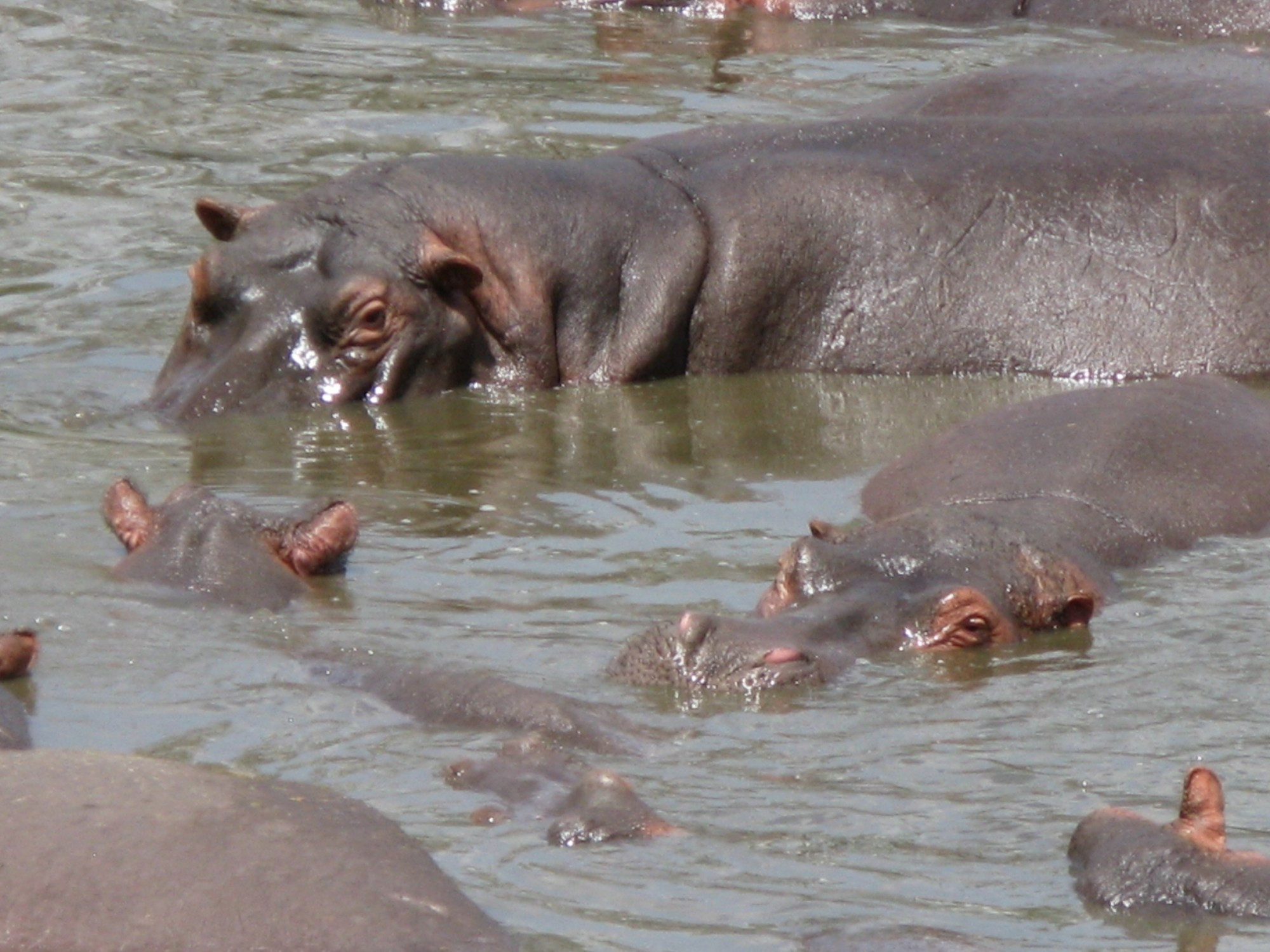 Tanzania