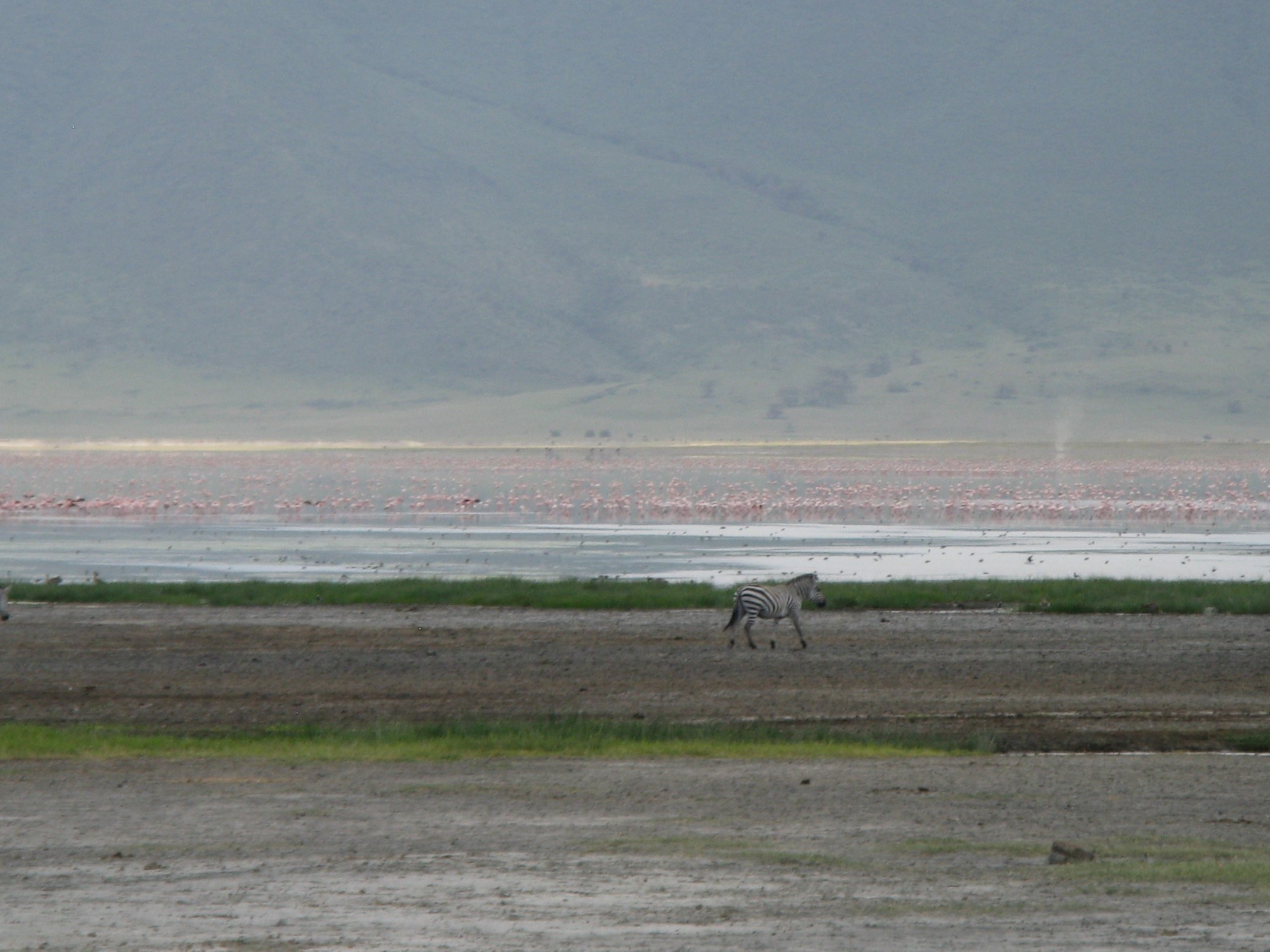 Tanzania