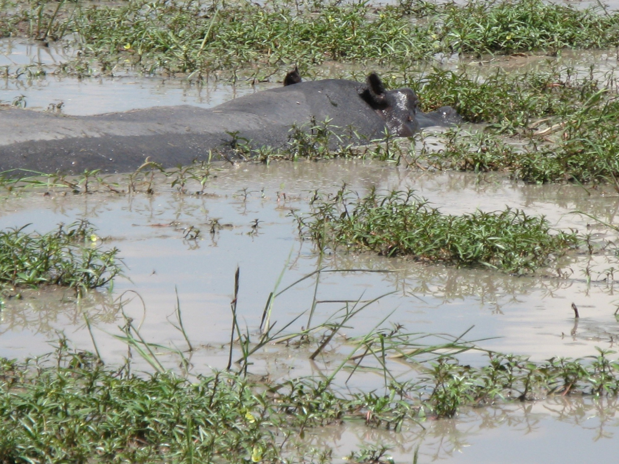 Botswana