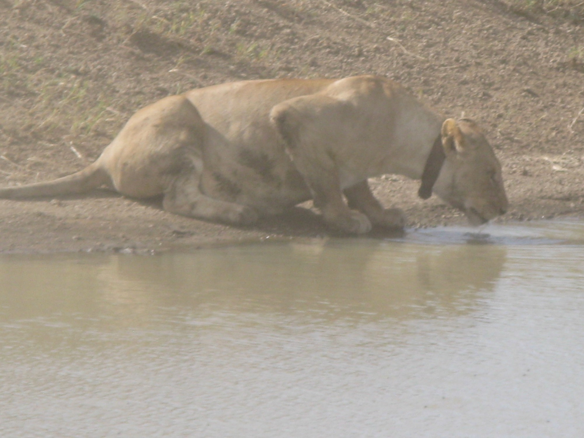 Tanzania