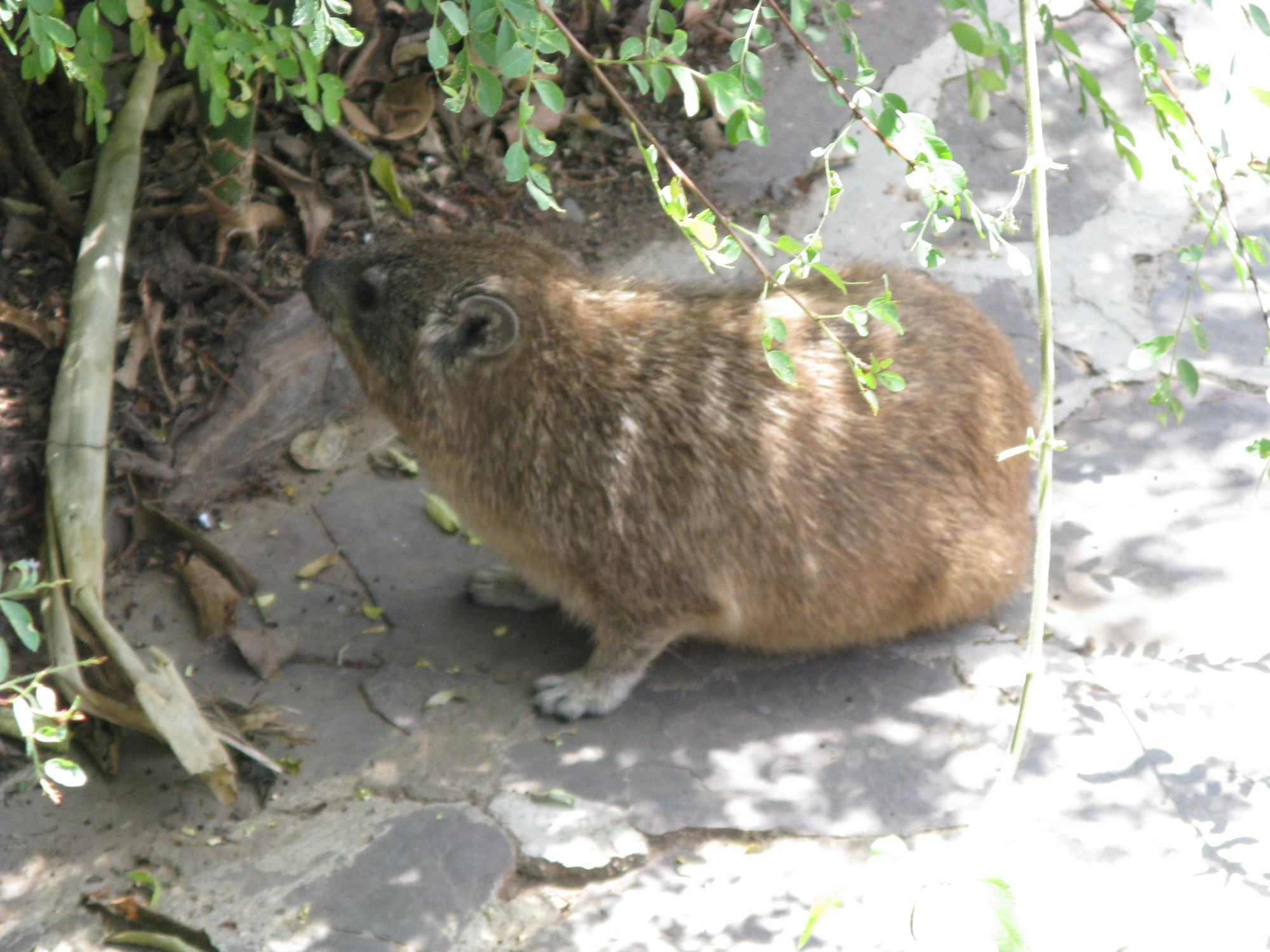 Tanzania