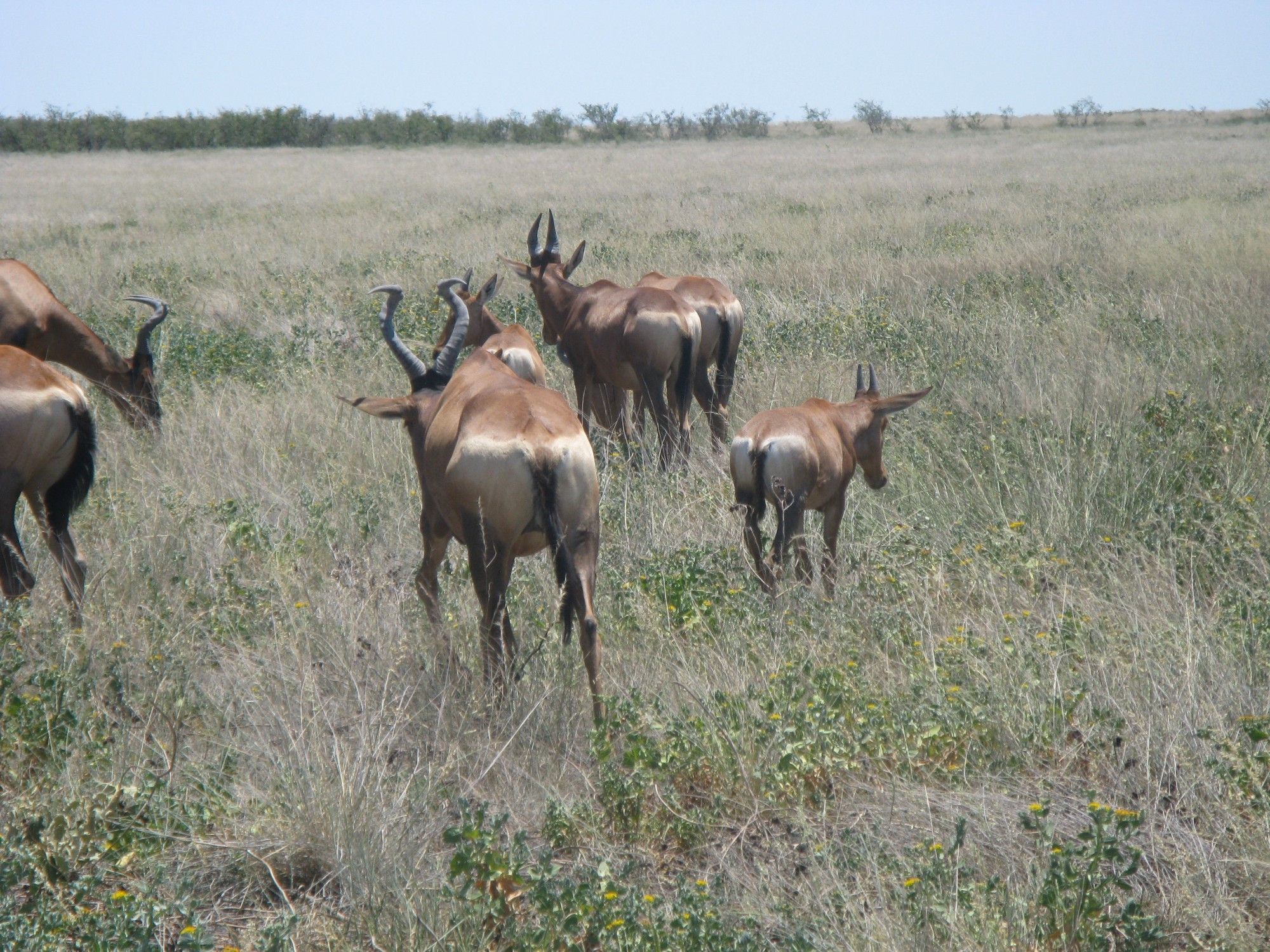 Namibia