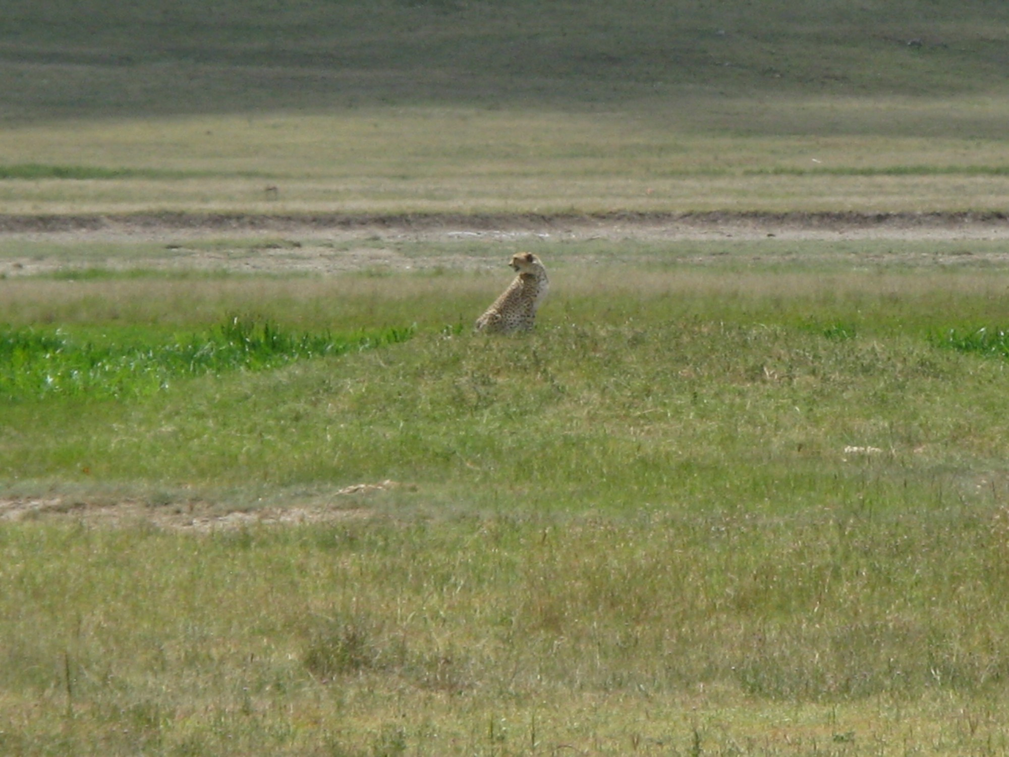 Tanzania