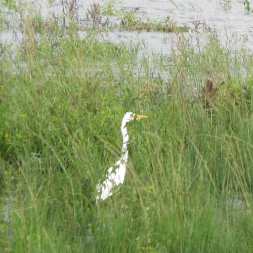 Botswana