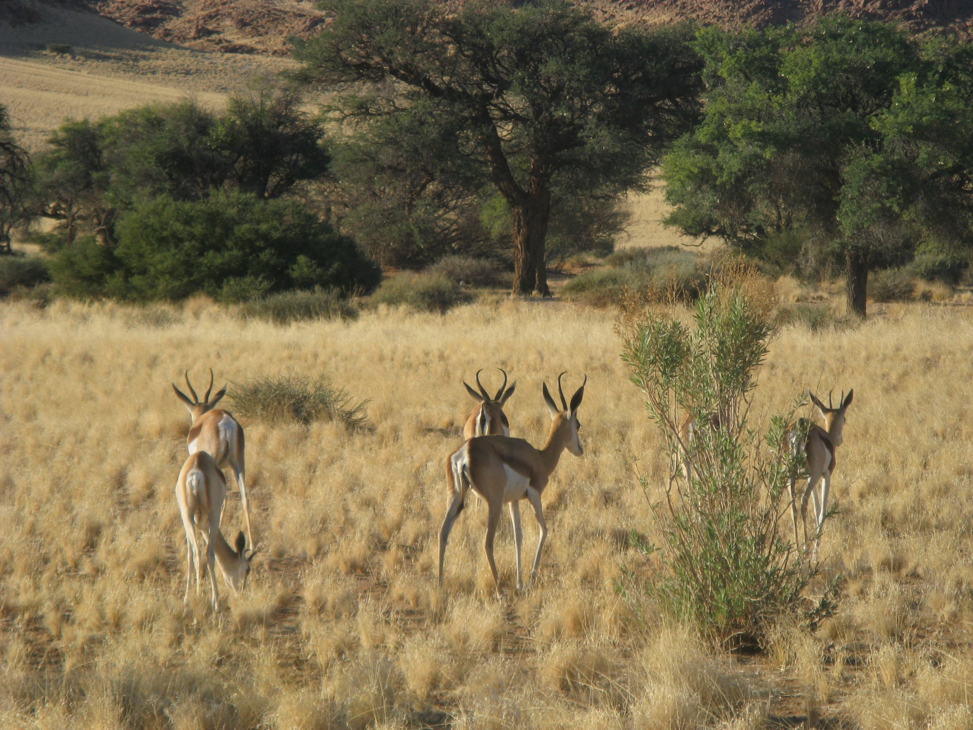 Namibia