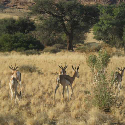 Namibia