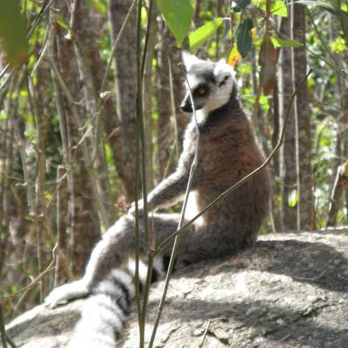 Madagascar