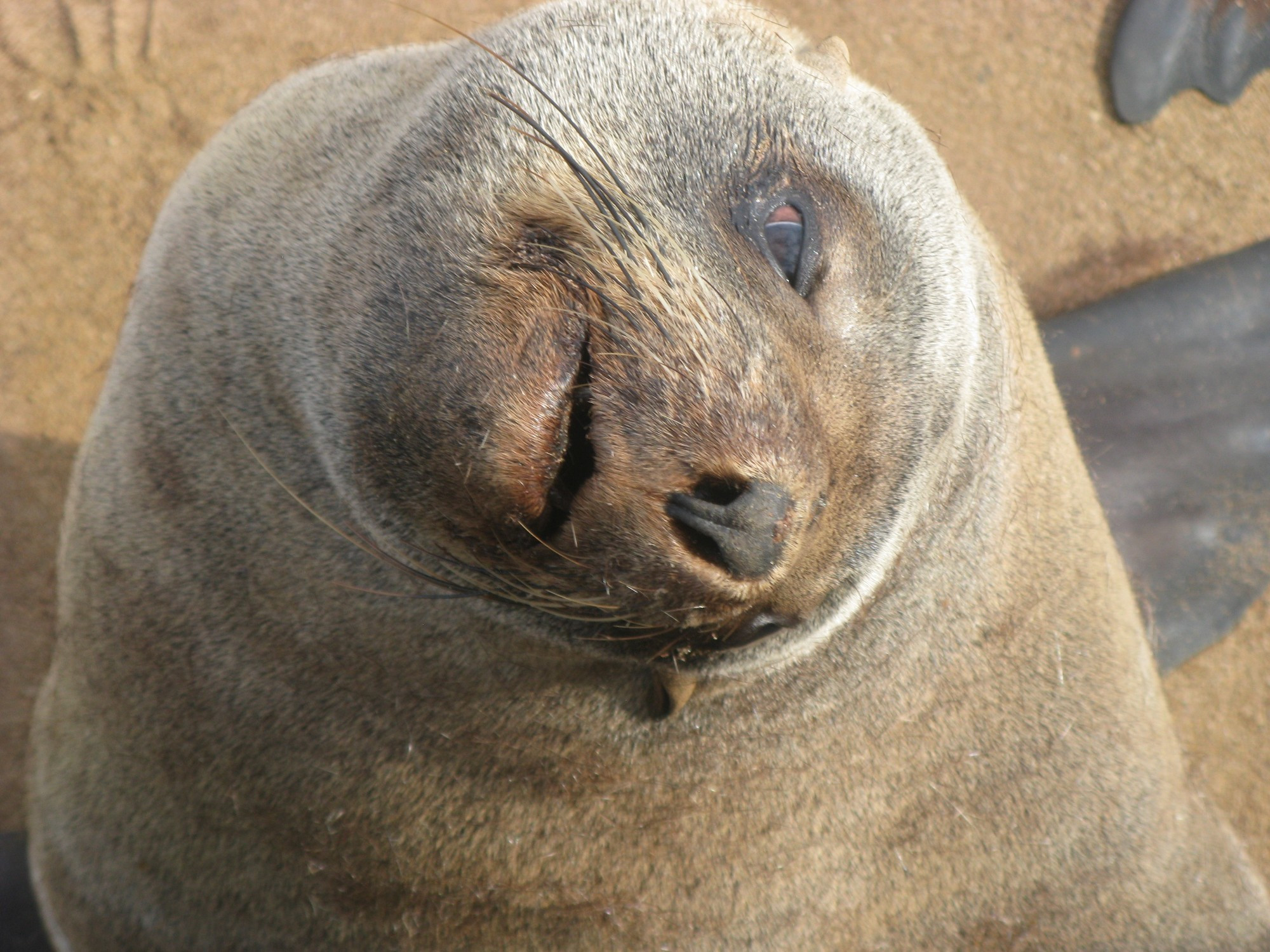 Namibia