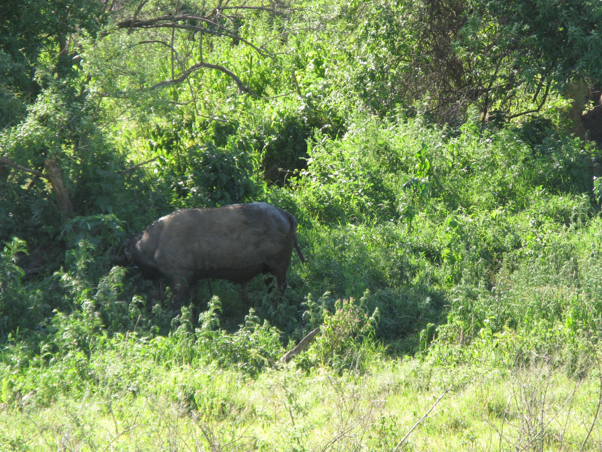 Tanzania