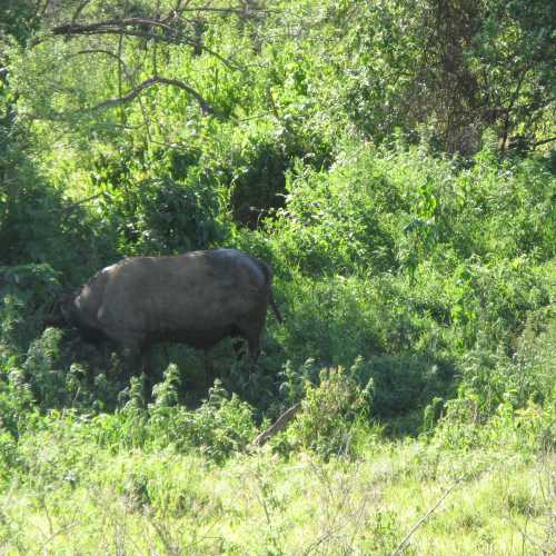 Tanzania