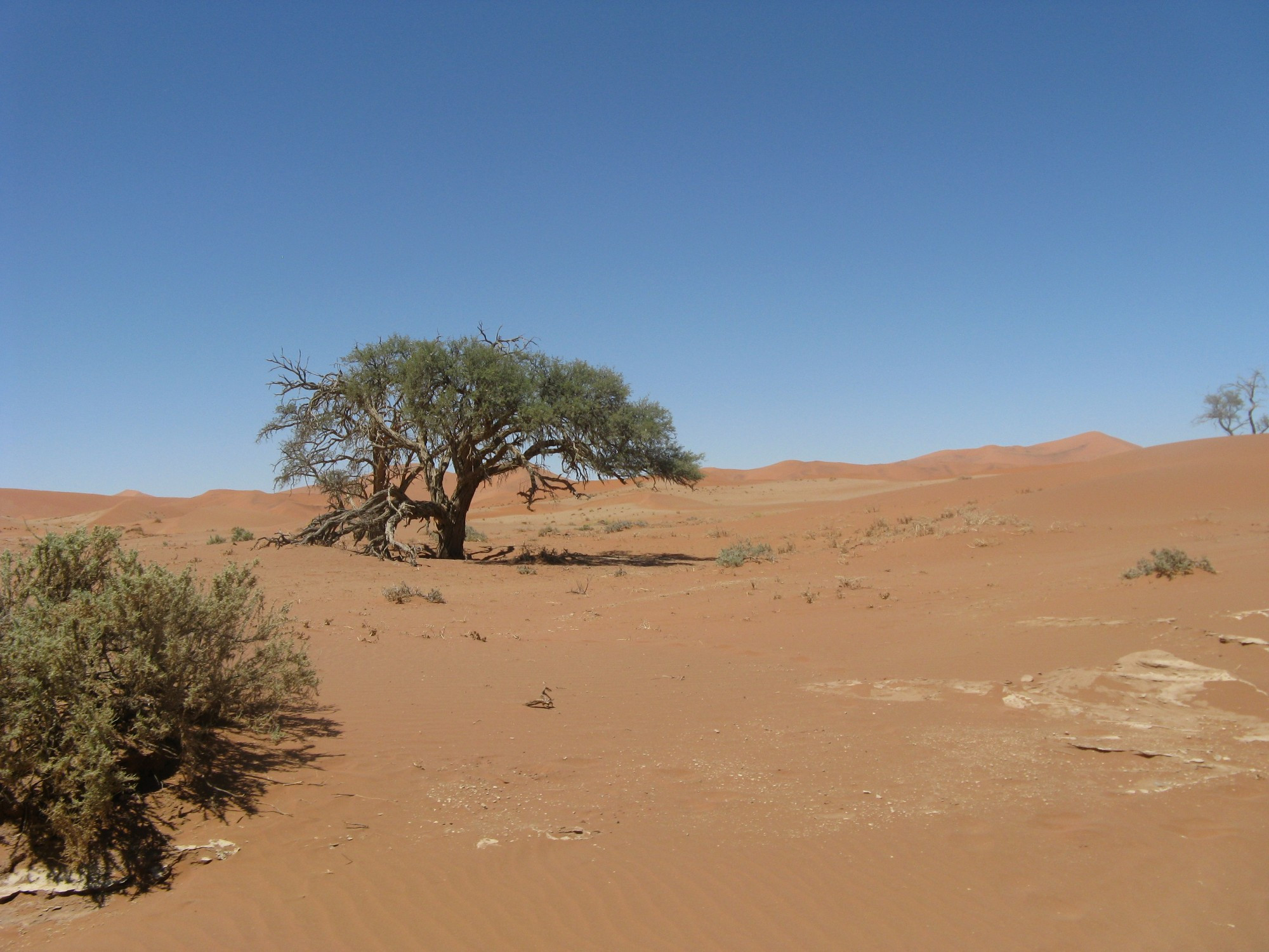 Namibia