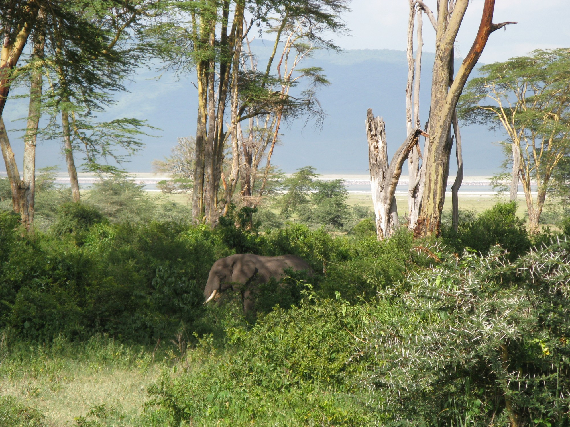 Tanzania