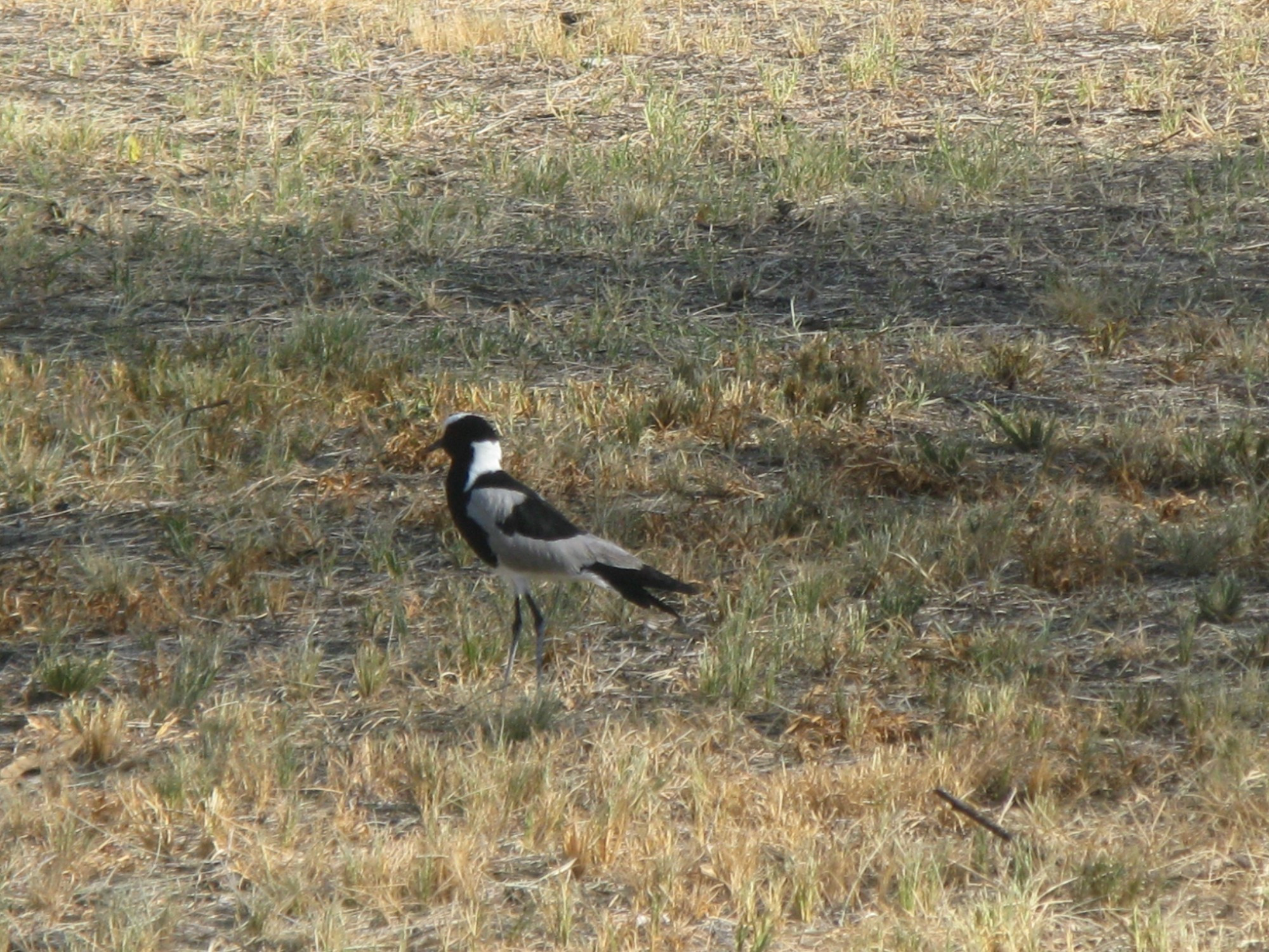 Namibia