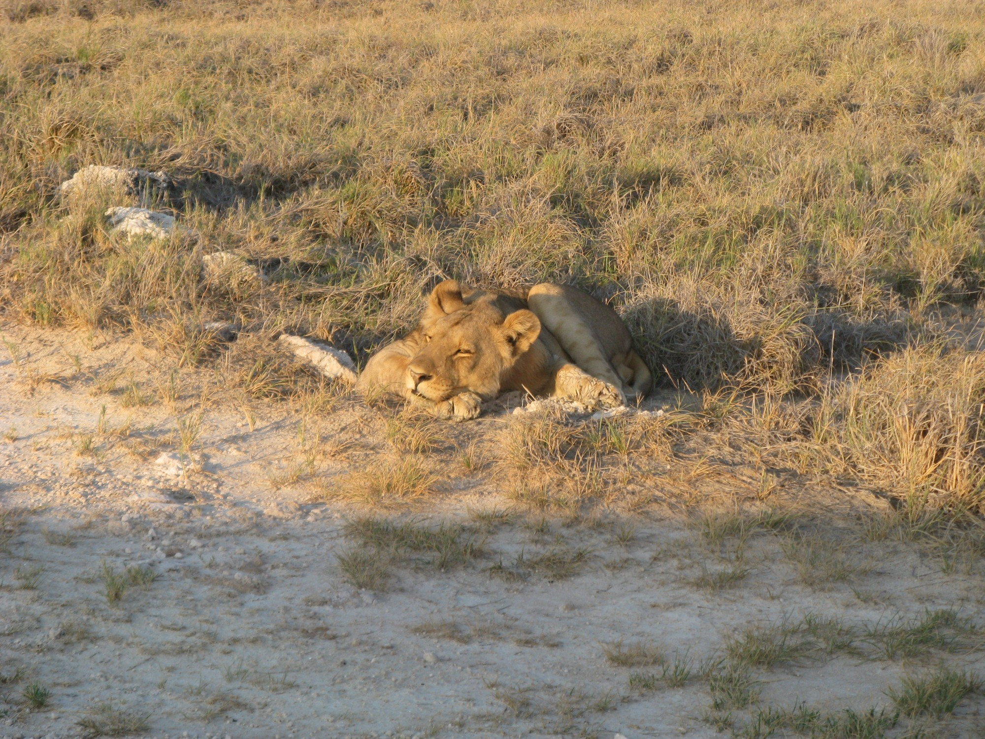 Namibia