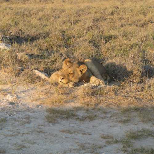 Namibia