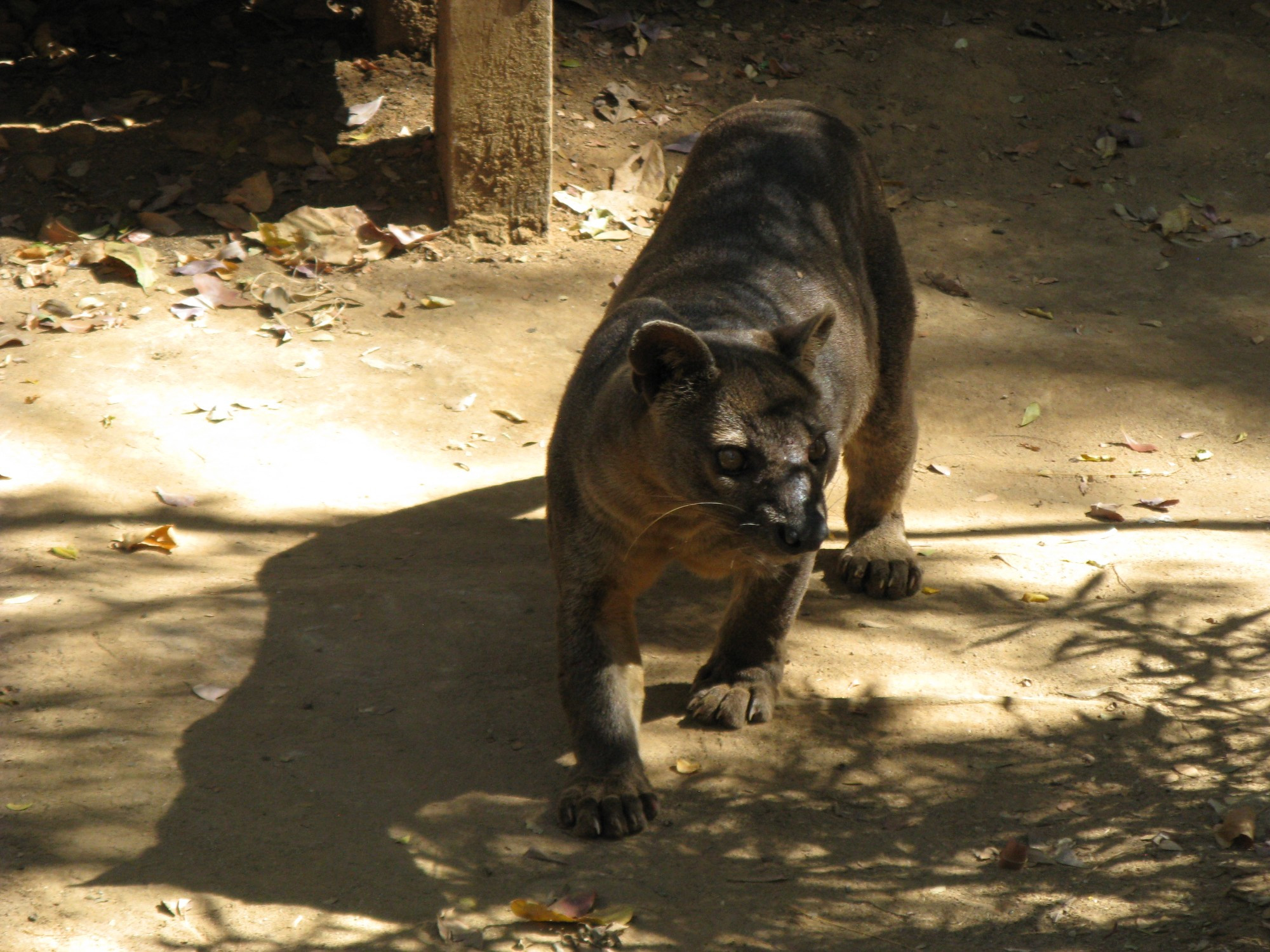 Madagascar