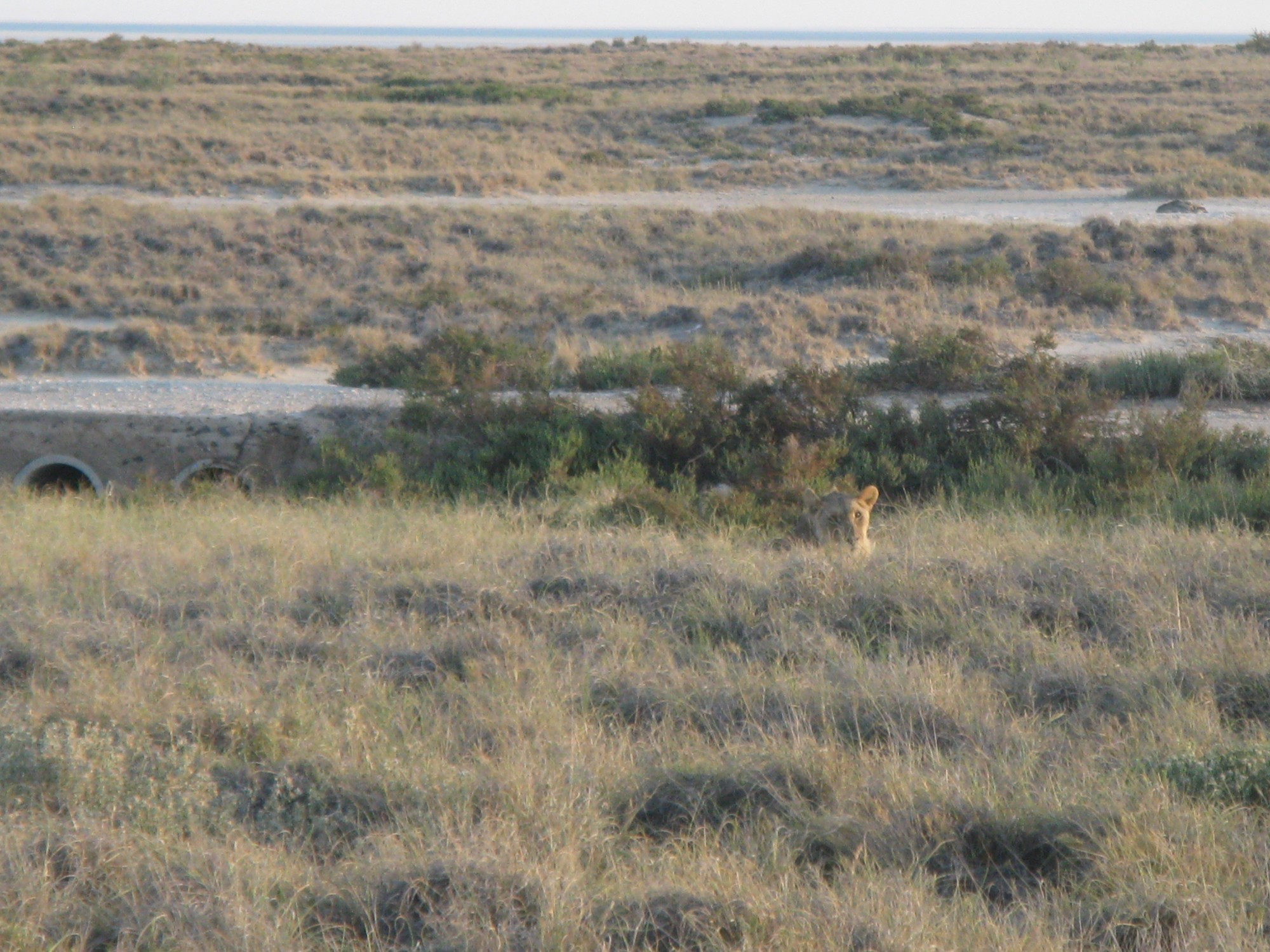 Namibia