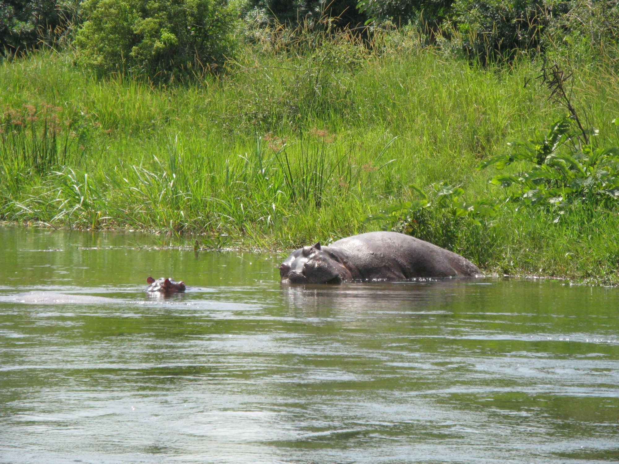 Uganda