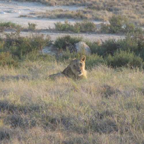 Namibia