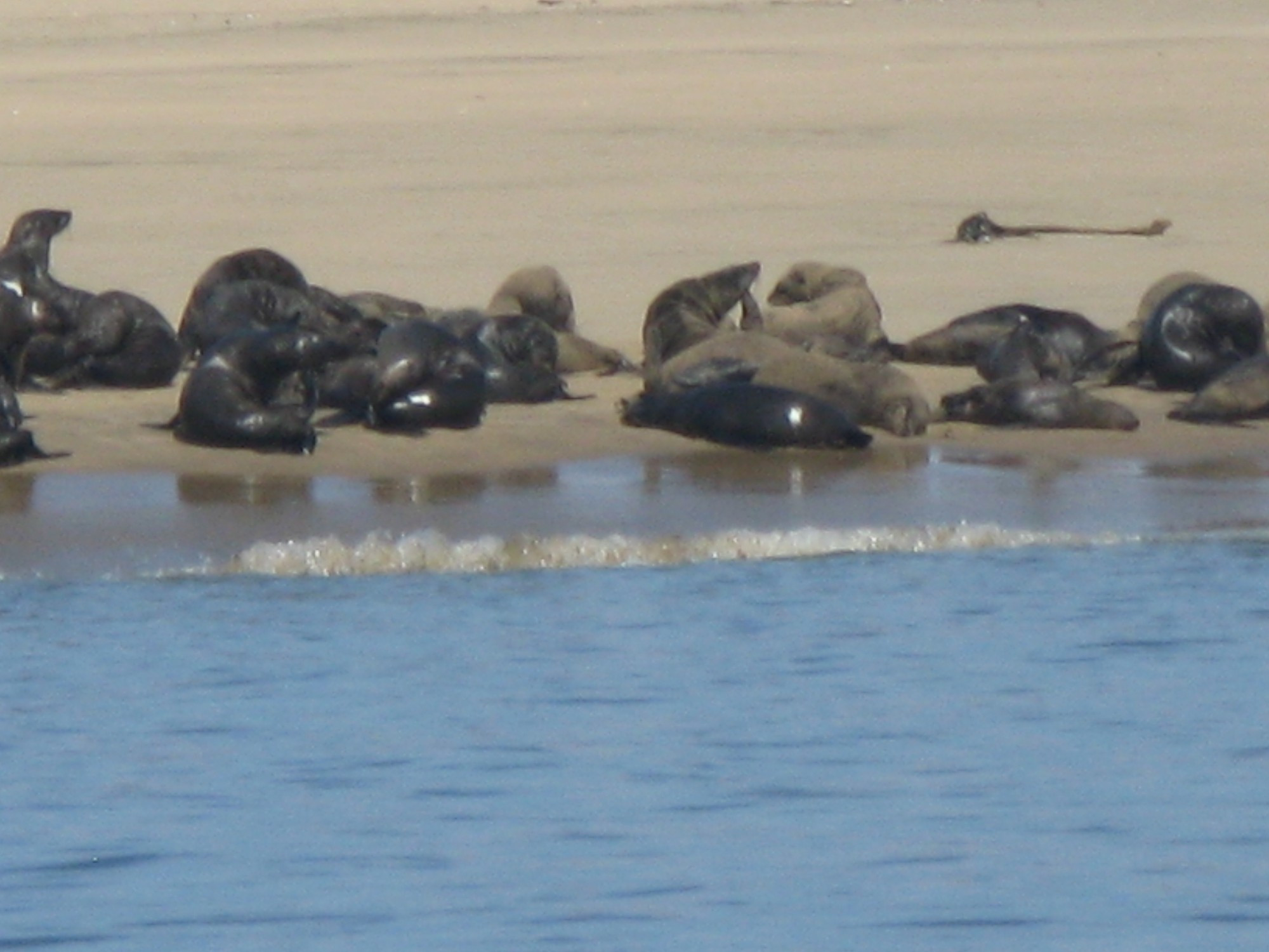 Namibia