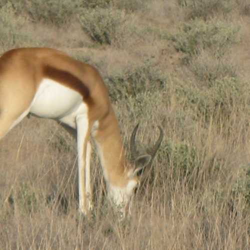 Namibia