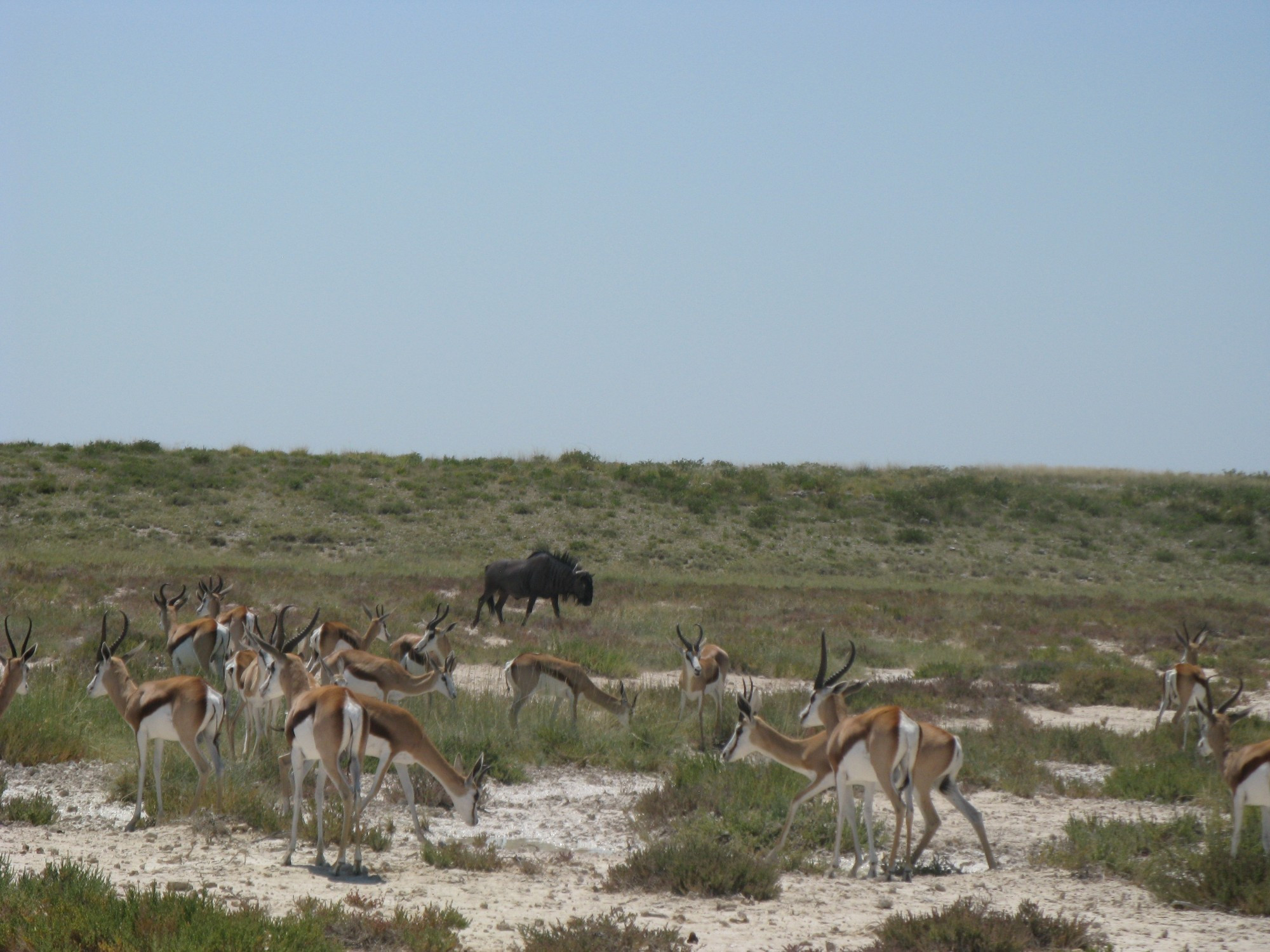 Namibia