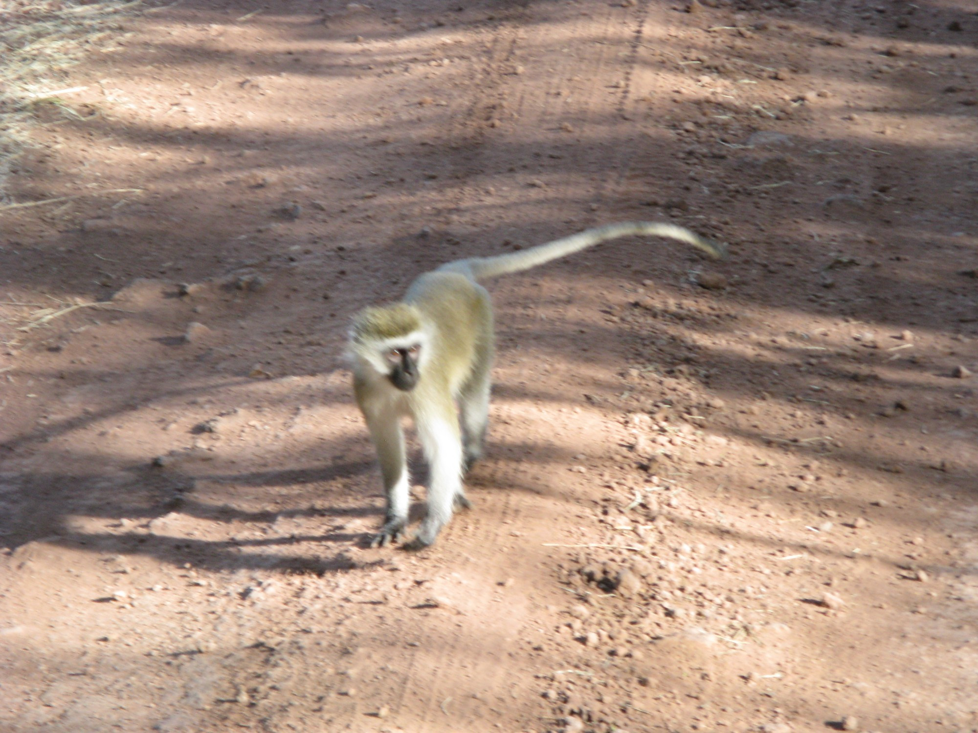 Tanzania