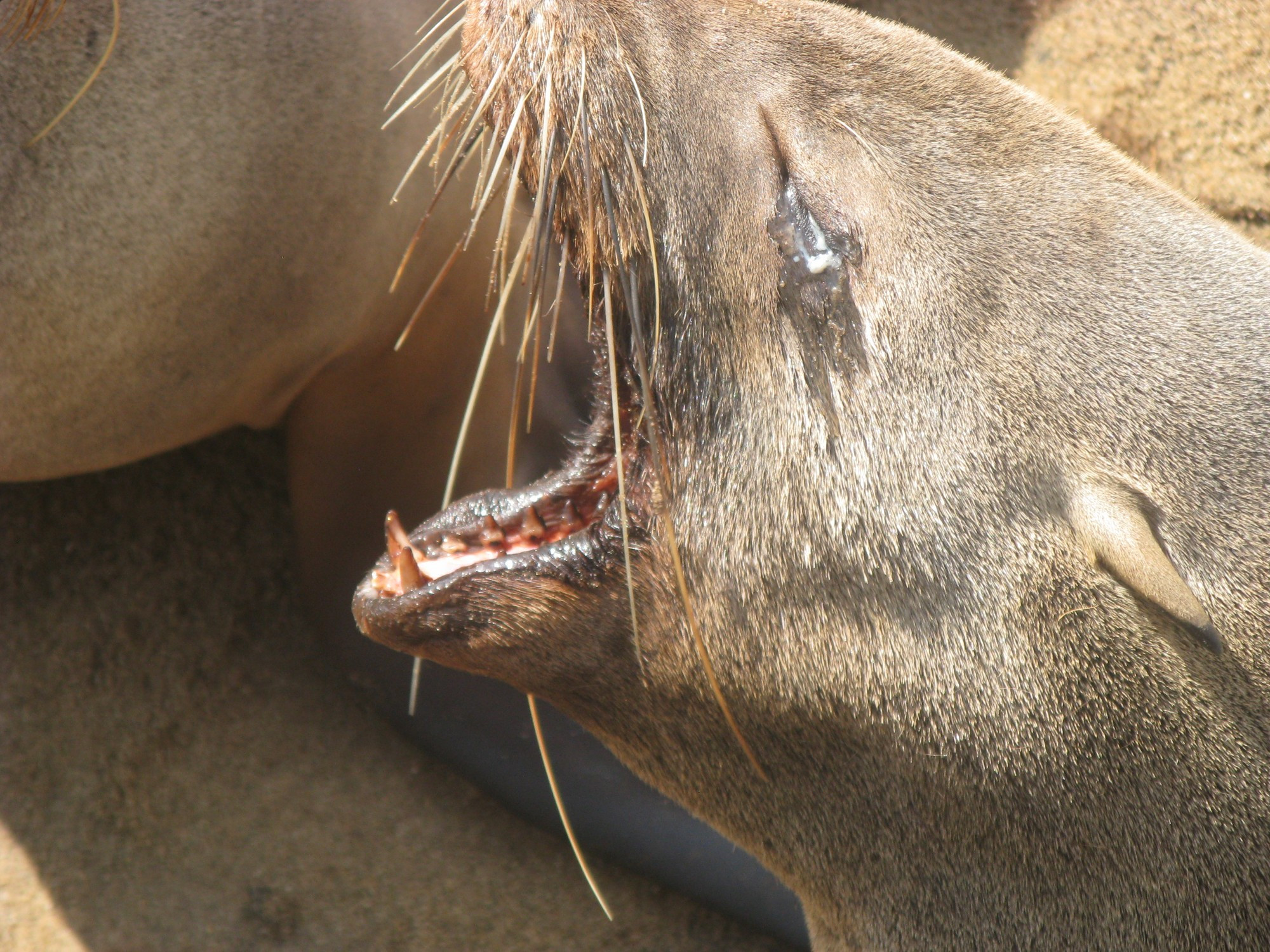 Namibia