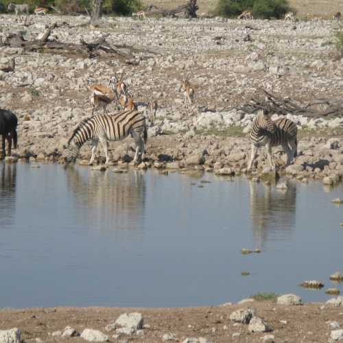 Namibia