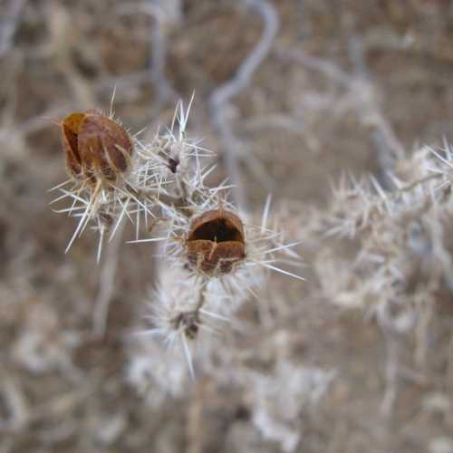 Namibia