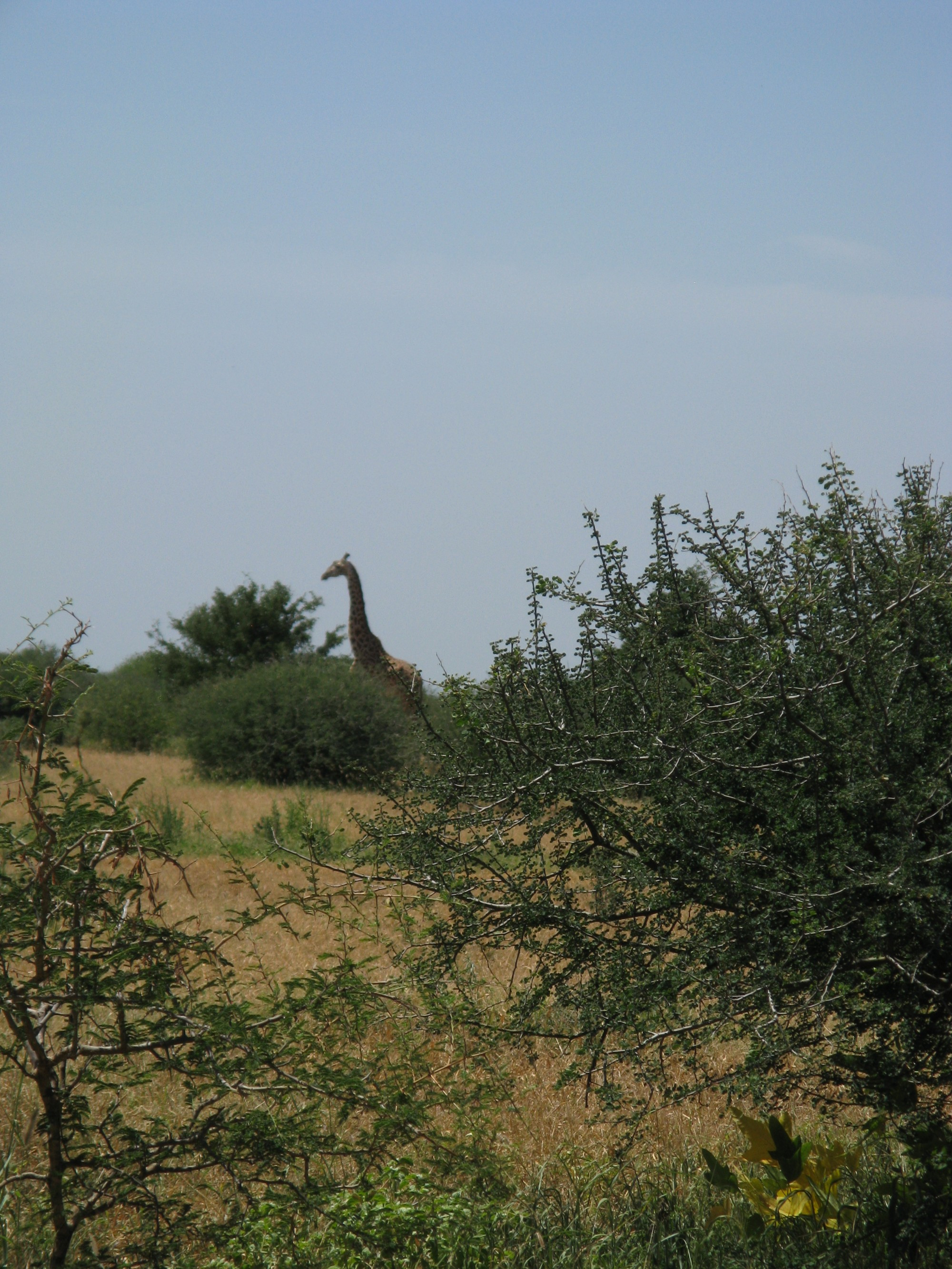 Tanzania