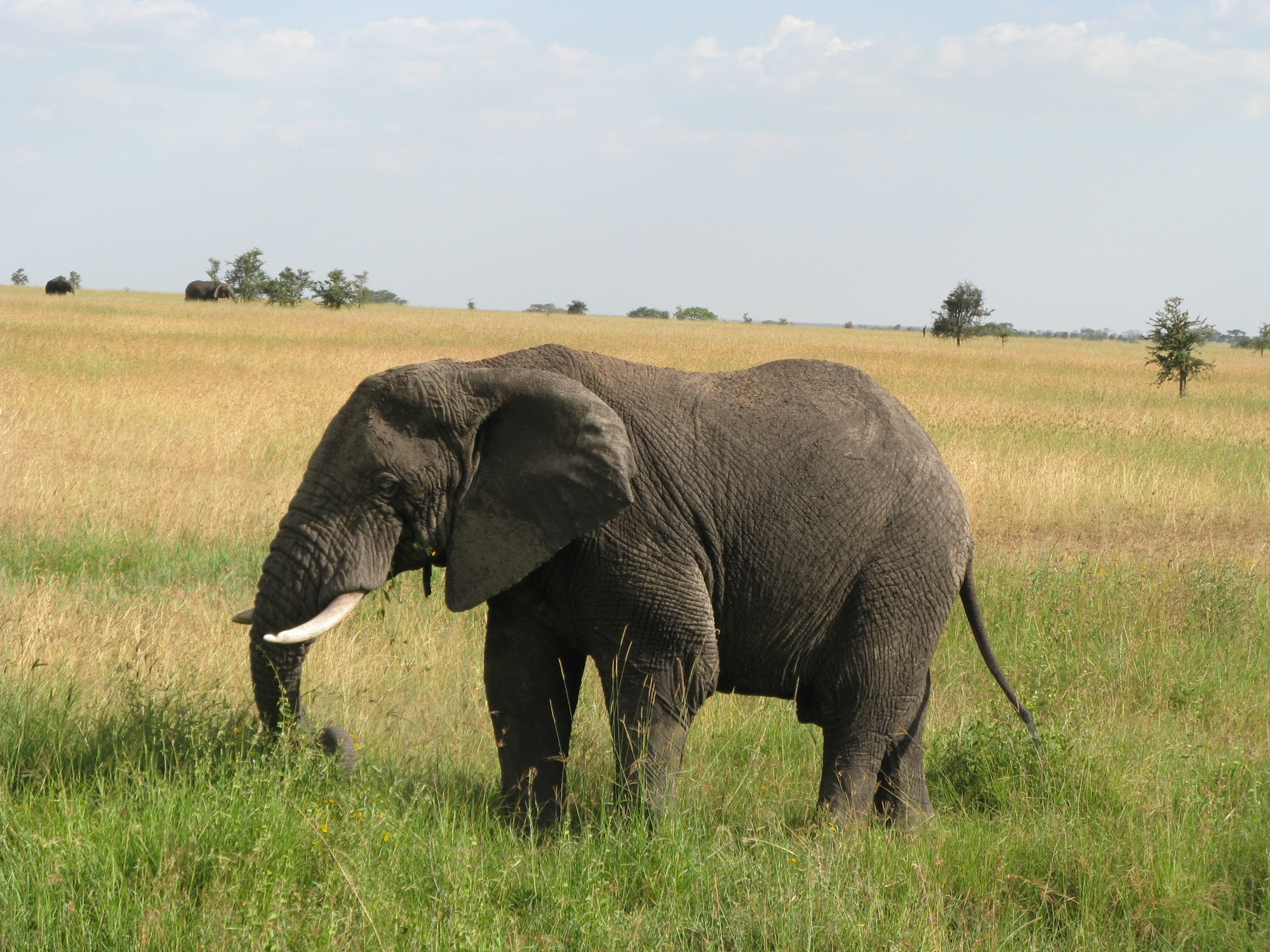 Tanzania