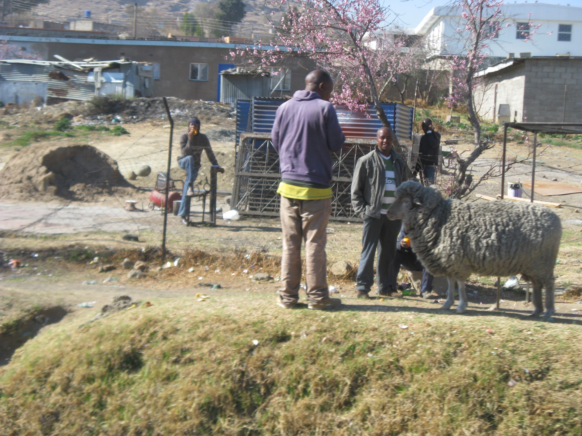 Lesotho