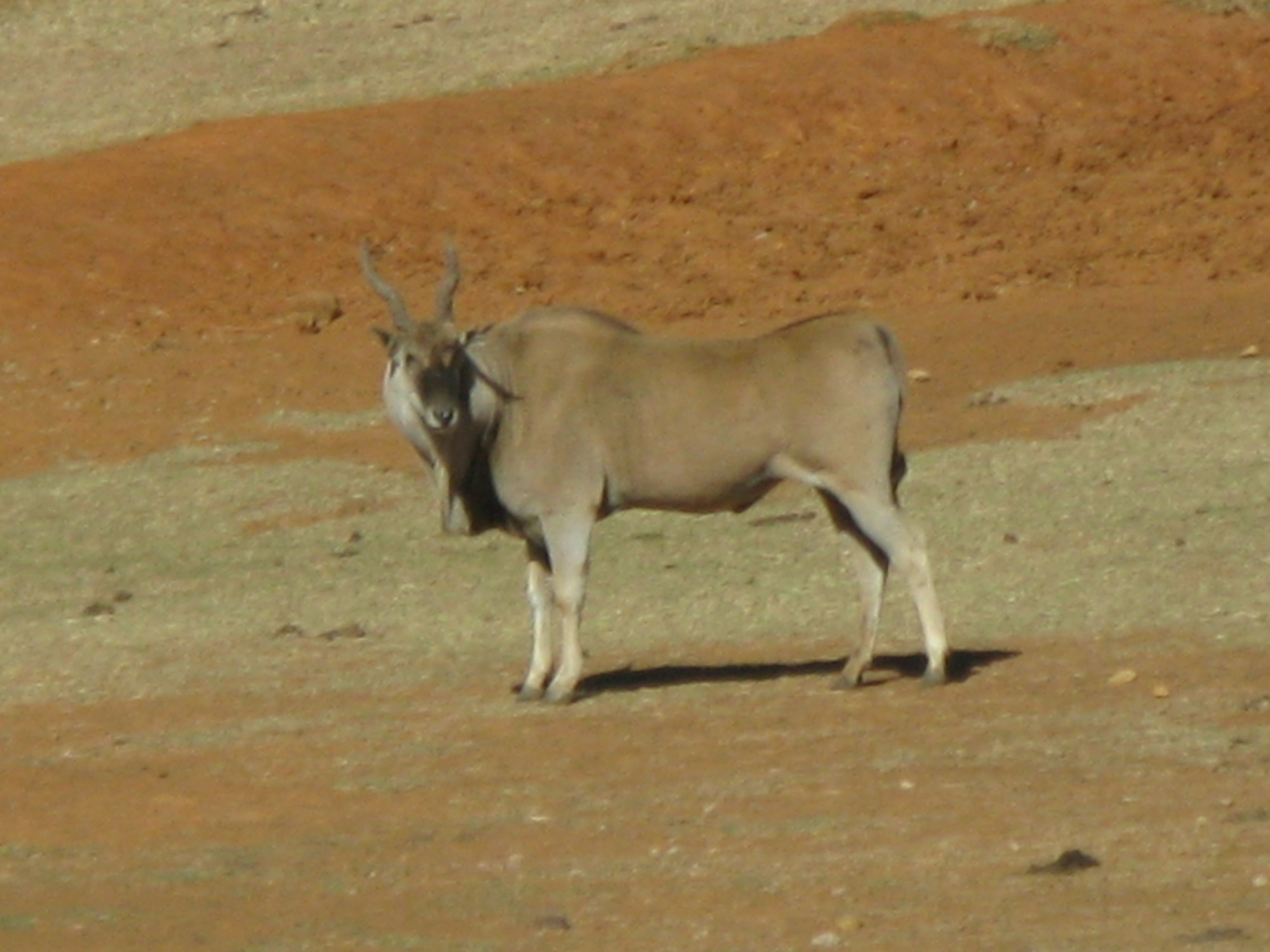 Swaziland