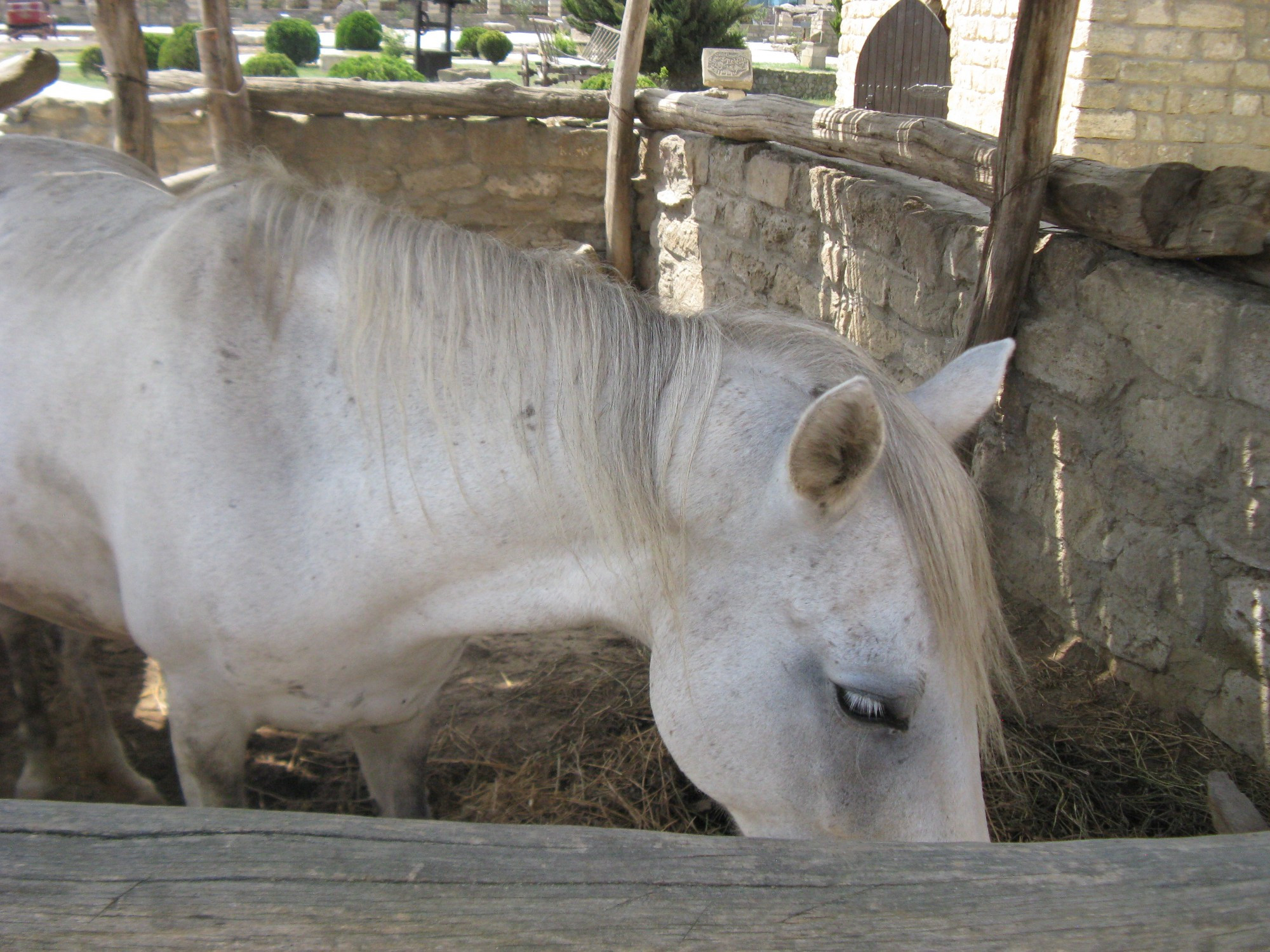 Azerbaijan