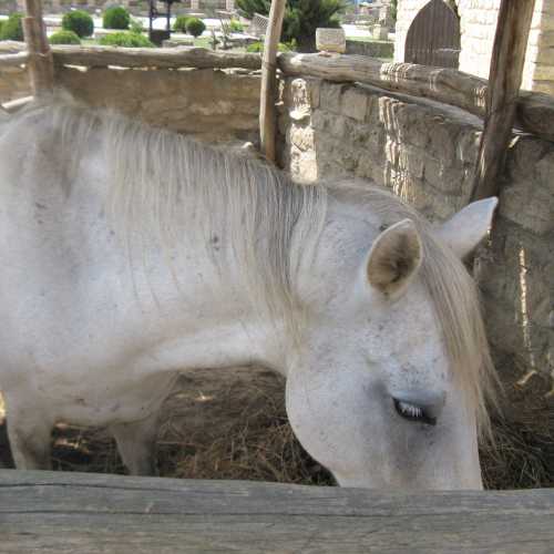 Azerbaijan