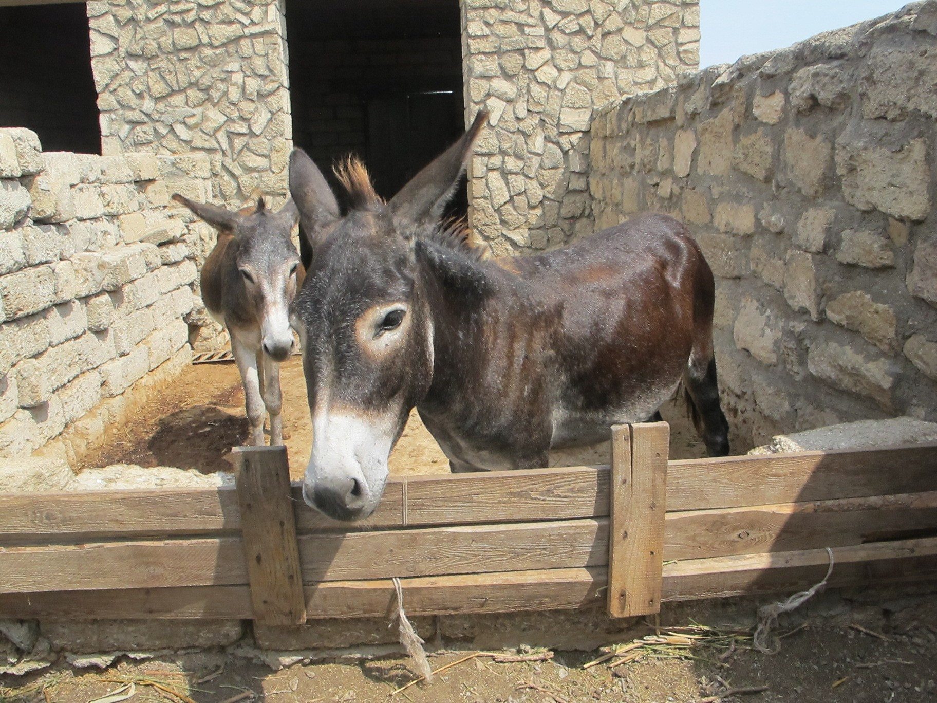 Azerbaijan