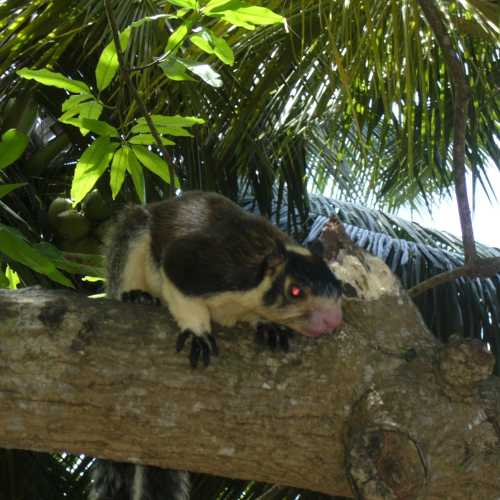 Sri Lanka