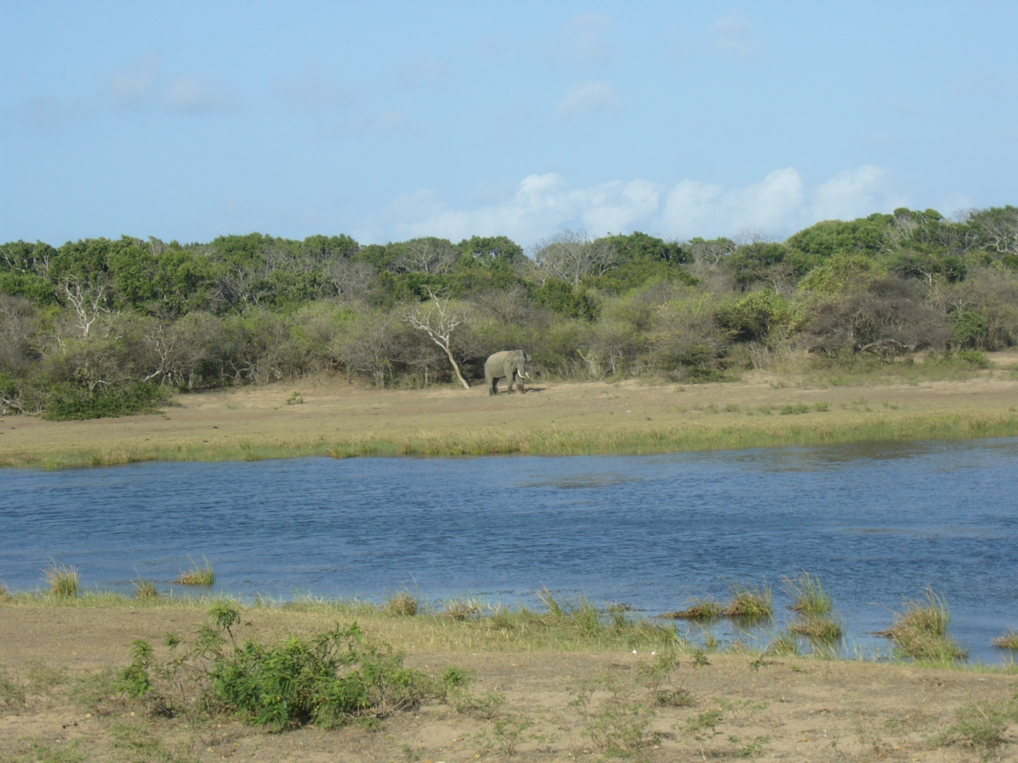 Sri Lanka