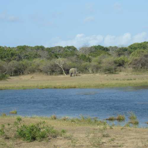 Sri Lanka